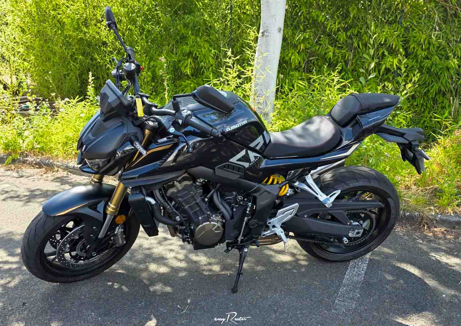 Location moto Pau KTM 790 Duke L 1