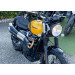 location moto Lyon Triumph Scrambler 900 A2 2