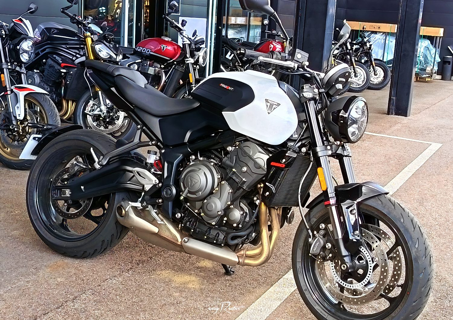 Location moto Rouen Triumph 800 tiger XR 1