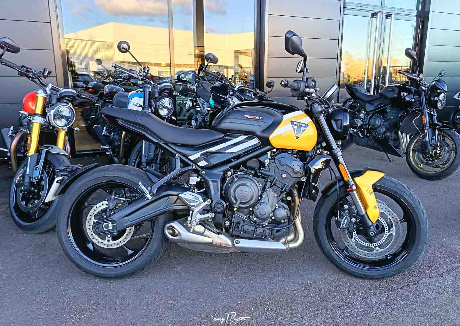 Location moto Rouen Triumph 800 tiger XR 1
