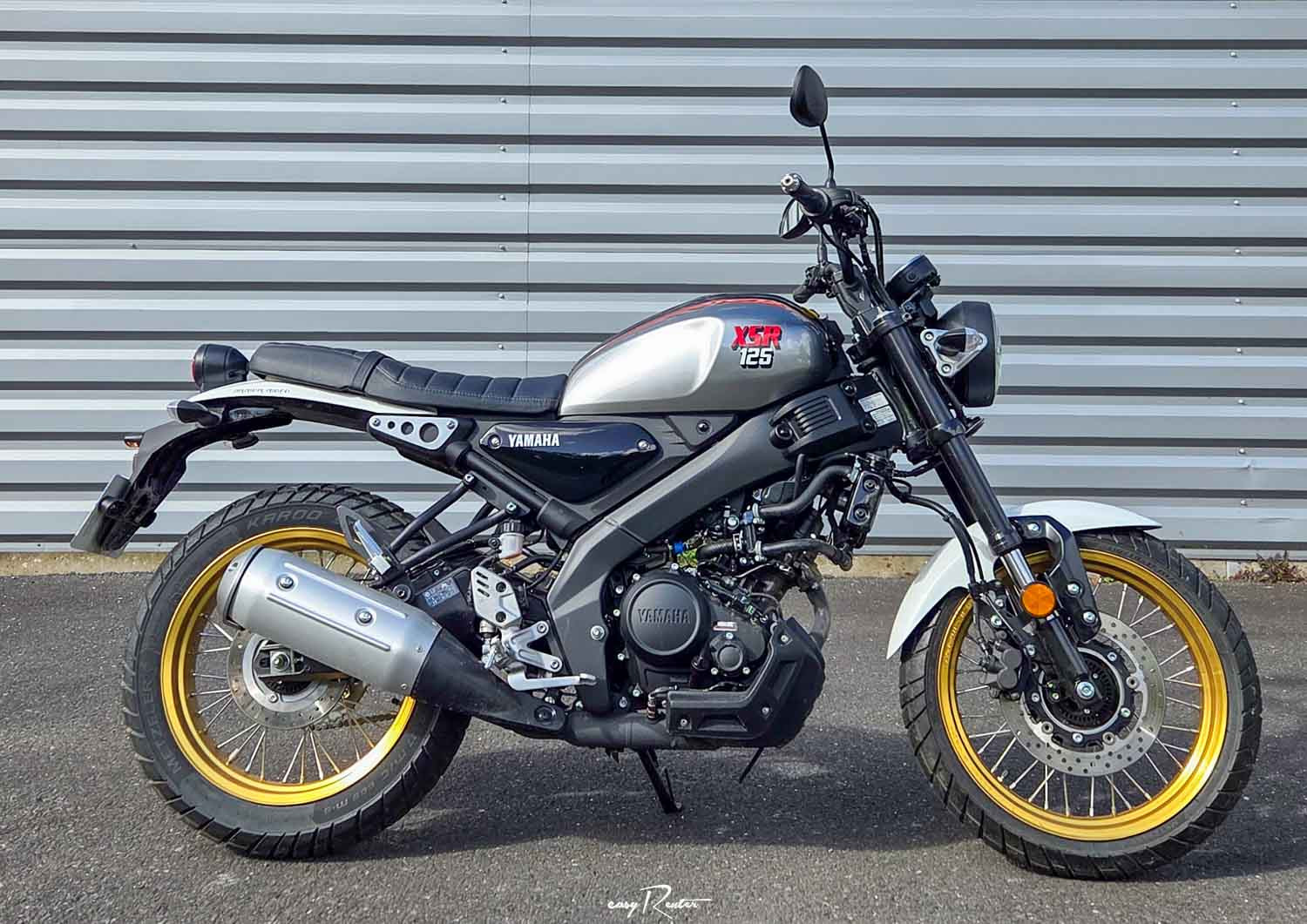 Nancy Guzzi V7 Stone motorcycle rental 14939