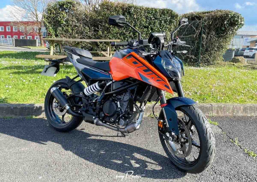 Pau Ducati Multistrada V4 S Radar motorcycle rental 18348