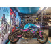 Berck CF Moto 800 NK Advanced  moto rental 1