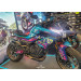 Berck CF Moto 800 NK Advanced  moto rental 2
