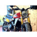 Cuers Fantic Caballero Scrambler 500 A2 motorcycle rental 17289