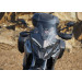 Chambéry Ducati Multistrada V4 S moto rental 4
