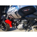 Bailleul Triumph Trident 660 motorcycle rental 13909