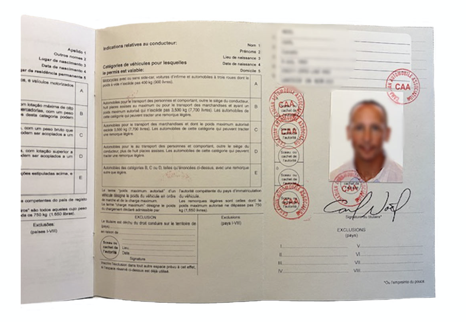 Exemple de permis de conduire international